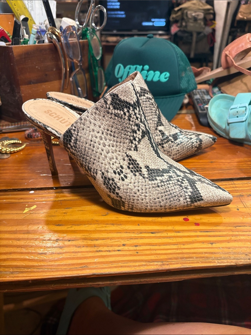 SCHUTZ Snake-Print Pointed Toe Mule Heels 👠 Size 8.5
